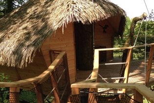 Boomhut Maine en Loire