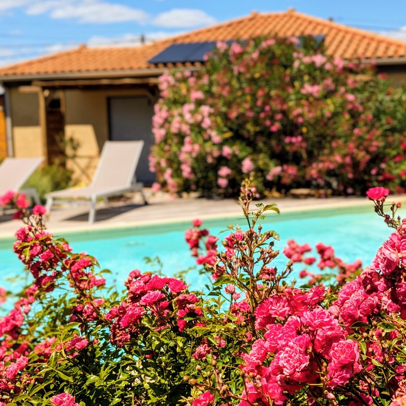 Villa Font Vive - Chambre d'hôtes "Le Chassezac" écologique avec piscine et cuisine à Grospierres (6)