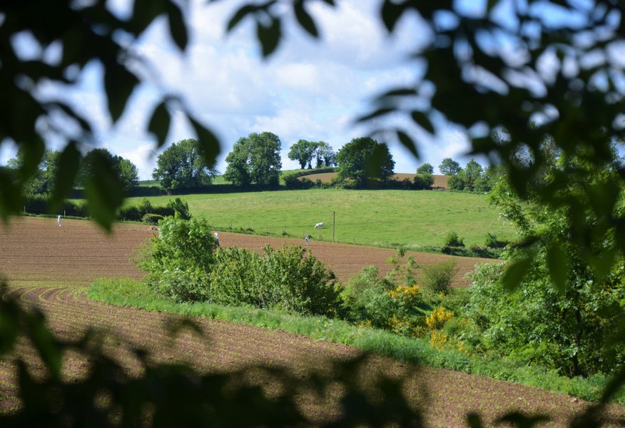 Domaine AbracadaRoom : Les Maîtres du Ciel - Image 3