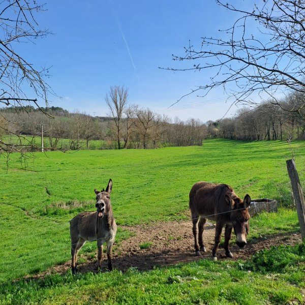 Hébergement AbracadaRoom : L'Ephémère & Spa - Image 16