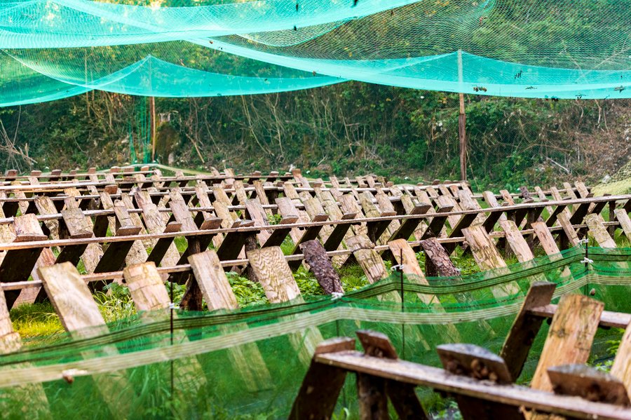 Domaine AbracadaRoom : Moulin Burignat - Image 3