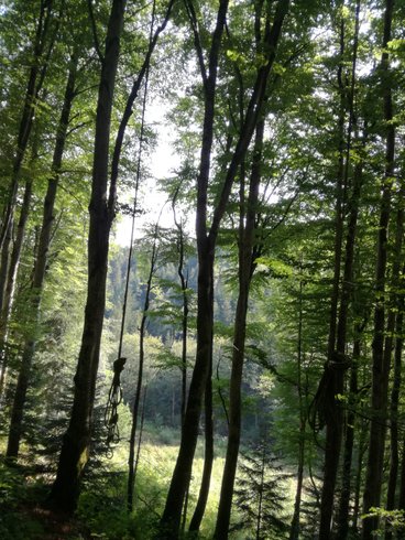 Domaine AbracadaRoom : Hêtre en Forez - Image 7