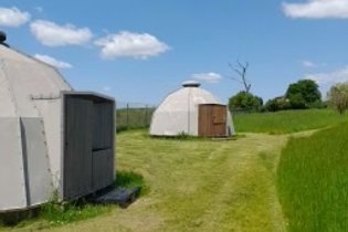 Hutte au milieu des wallabies n°3