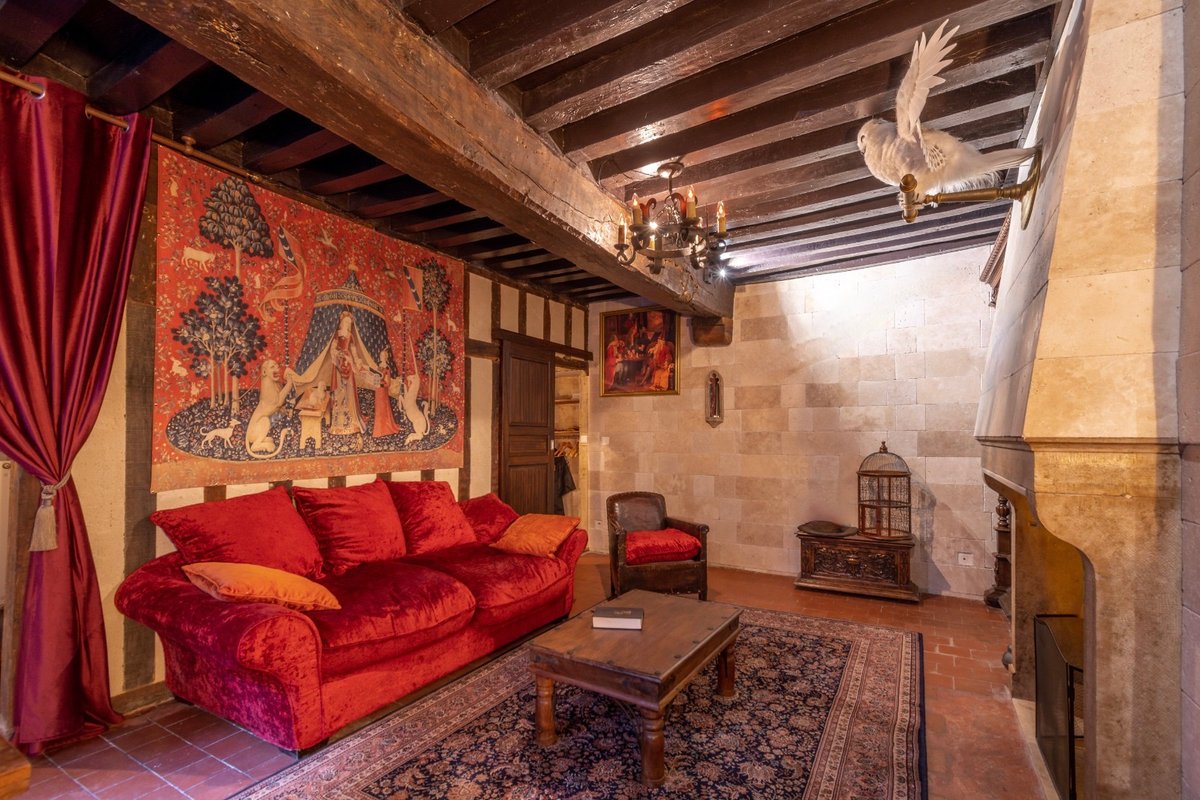 Appartement du sorcier Immersif et mémorable & Parking à Dijon (2)