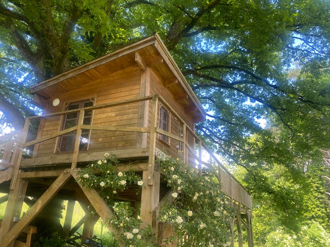 Domaine AbracadaRoom : Cabane dans le chêne tricentenaire - Image 8