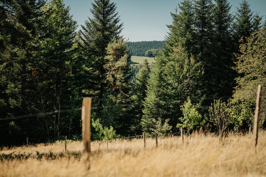 Domaine AbracadaRoom : Homnest (Riotord) - Image 14