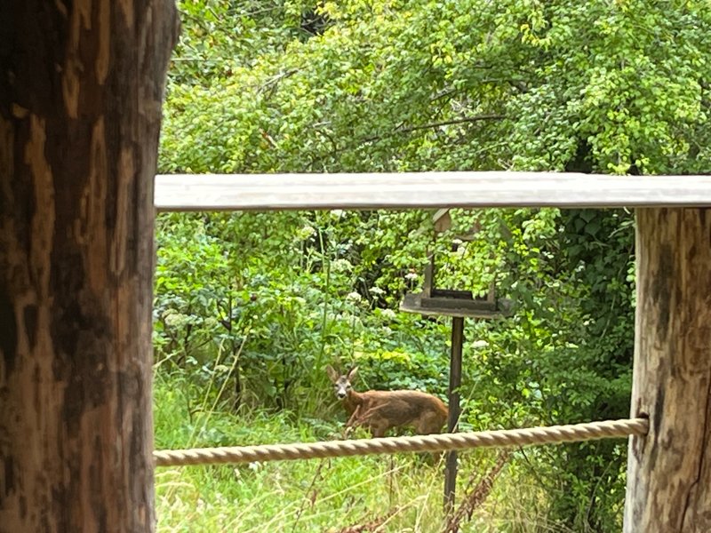 Domaine AbracadaRoom : Cabane Le Cœur de Xanet - Image 11