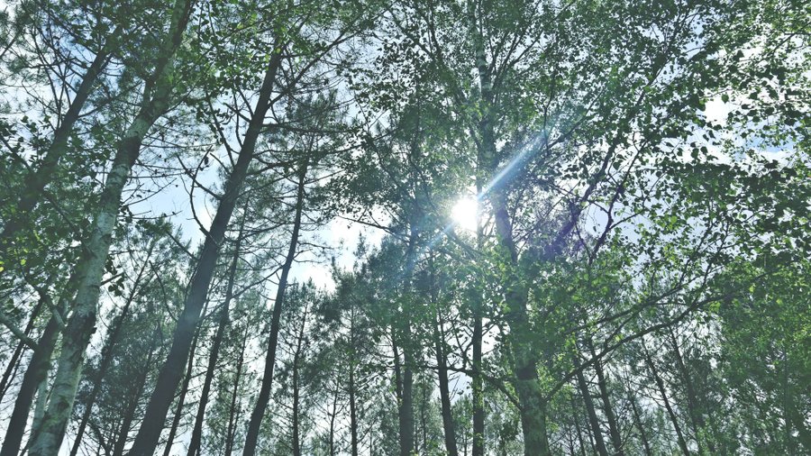 Hébergement AbracadaRoom : Tiny House Boho Océan - Image 23