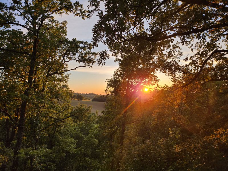 Domaine AbracadaRoom : La cabane entre les cimes - Image 5