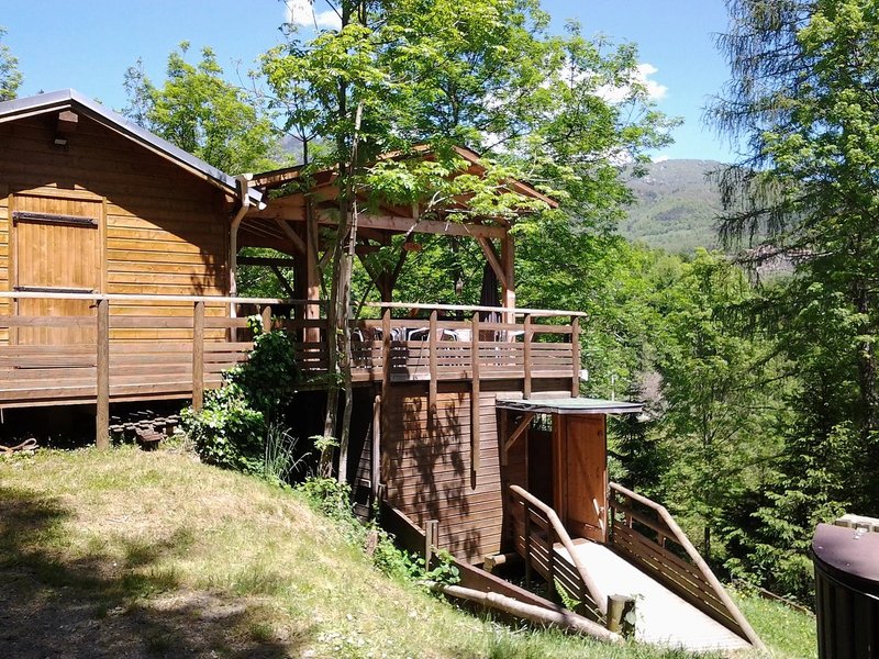 cabane-mont-oz-arbres