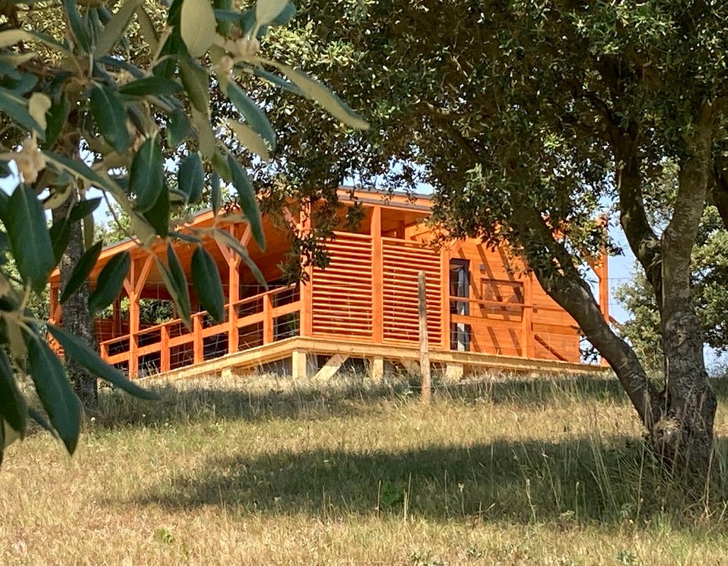 La Cabane perchée "A perte de vue" à Villarzel Du Razès (4)