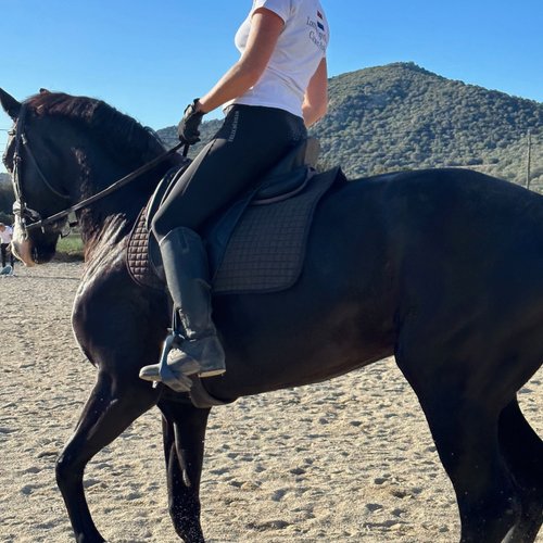 Exploitante agricole, Carine Poletti est aussi une cavalière professionnelle et une éleveuse de mini  shetlands (80cm de hauteur maximum).Avec 3 monitorats à son actif et un DESS en gestion d'entreprise en poche, entre 2 concours d'équitation, cette amour