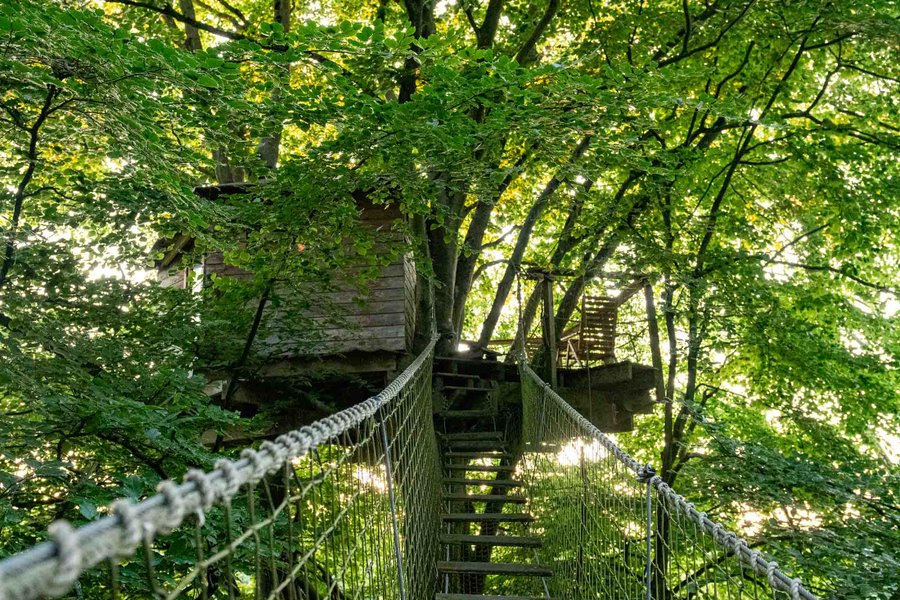 Cabane Epervier — photo 2
