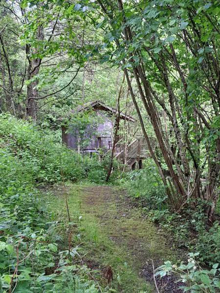 Hébergement AbracadaRoom : la Cabane l'Ile aux Pêcheurs - Image 5