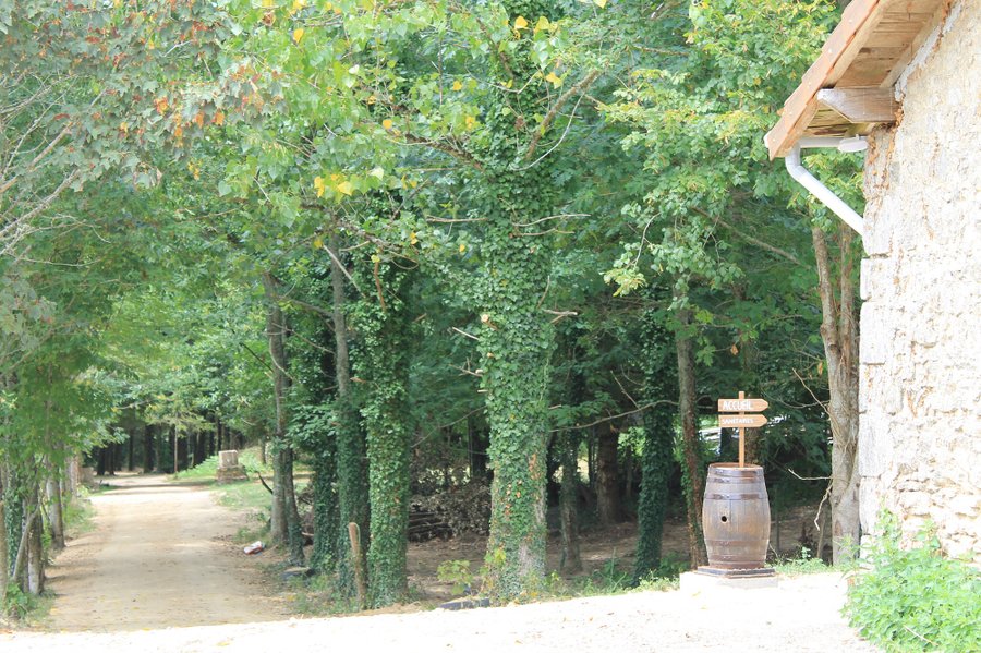 Domaine AbracadaRoom : L'Etoile Perchée - Image 8