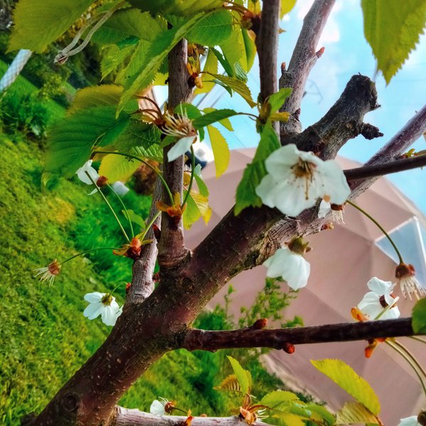 Domaine AbracadaRoom : Chez Paoù - Image 24