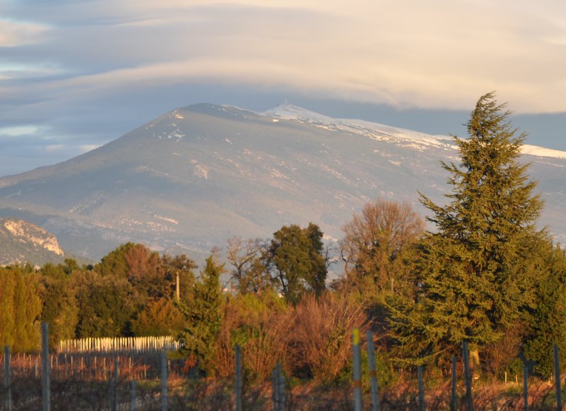 Domaine AbracadaRoom : Nid'Oiselet - Image 8