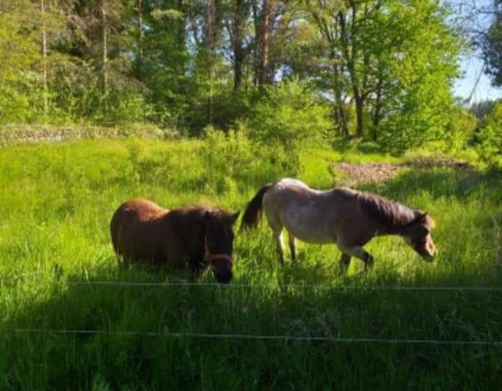 Domaine AbracadaRoom : Le Mas des Pins - Image 7