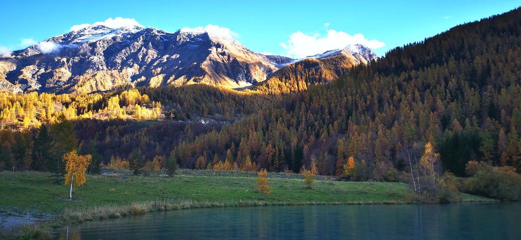 Domaine AbracadaRoom : Chalet des Babous - Image 12