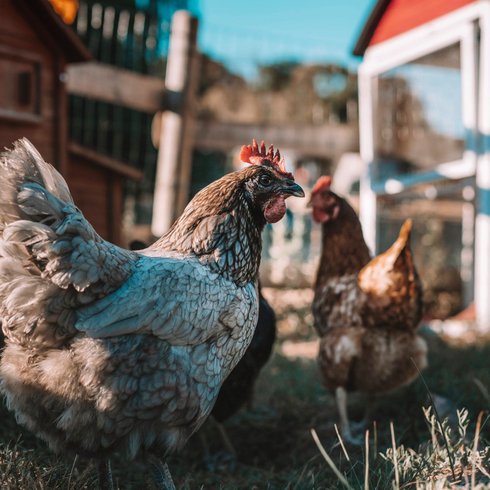 Domaine AbracadaRoom : La Ferme Des Épis - Image 11