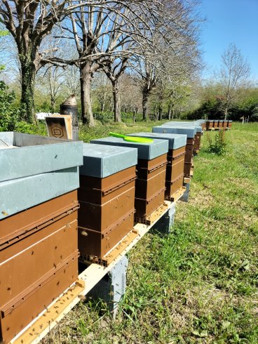 Domaine AbracadaRoom : Domaine de Bassilour - Image 28