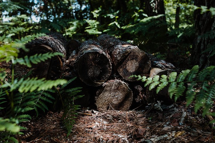 Domaine AbracadaRoom : Tiny Stay Ecolodge - Image 14