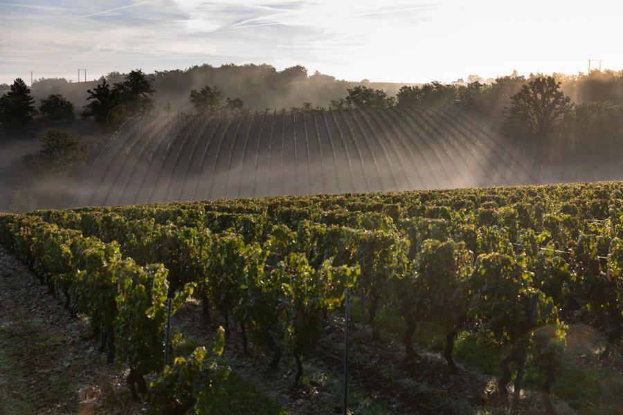 Hébergement AbracadaRoom : Parcel Tiny House - dans les vignes de la Vallée du Lot - Image 19