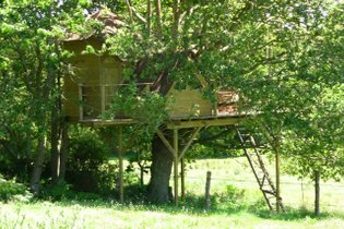 Cabane dans les arbres Morbihan