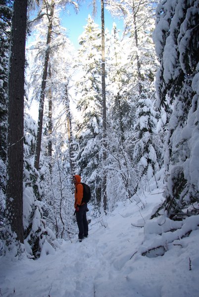 Domaine AbracadaRoom : Yourte de Montagne de Ratery - Image 2