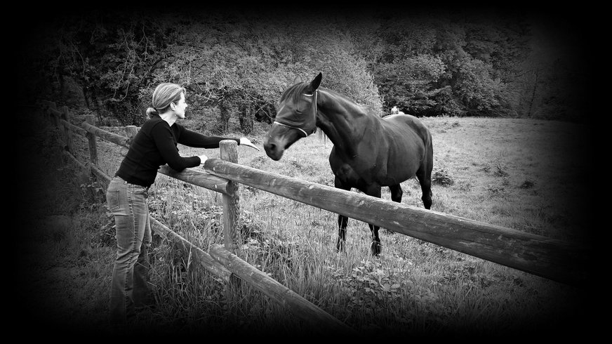 Hébergement AbracadaRoom : Bulle Texas – Luxe  & SPA – Vue Lac Aiguebelette - Image 57