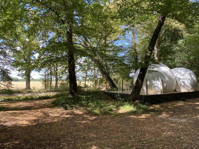 Hébergement AbracadaRoom : Bulle de l'étang - Image 14