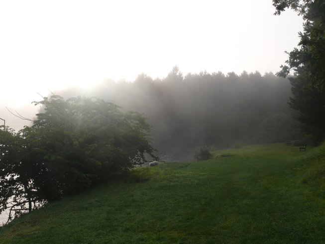 Hébergement AbracadaRoom : Plum'arbres 3 - Image 7