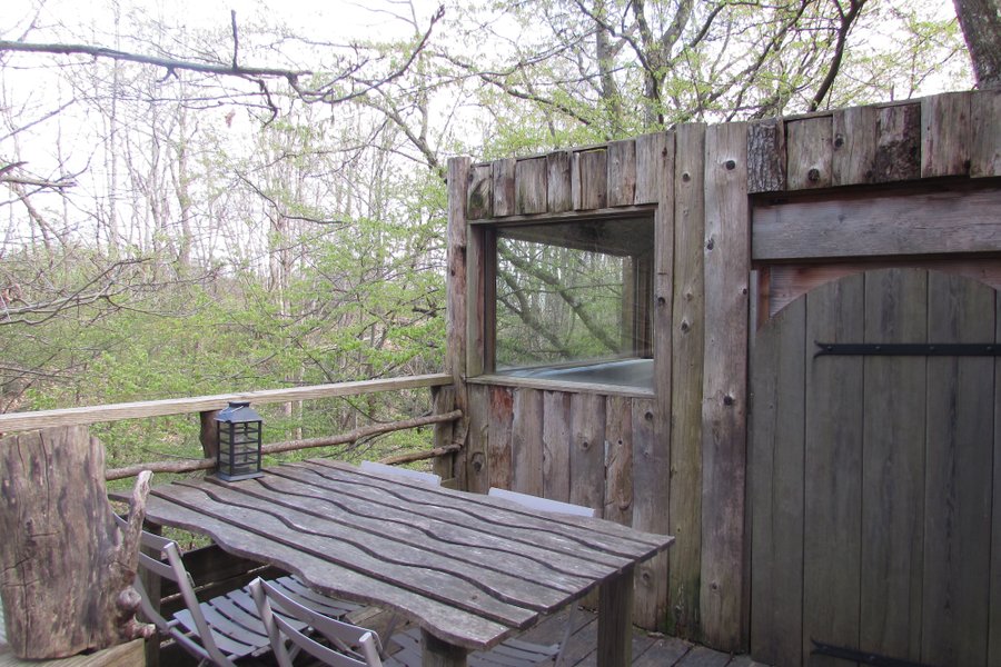 Cabane Charrette – Dormir perché à 9m, praticable en fauteuil — photo 2