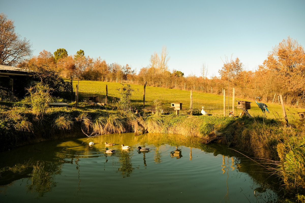 Homnest - Prairie des Âmes Heureuses - Occitanie à Puybegon (33)