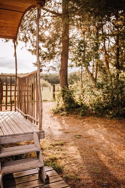 Hébergement AbracadaRoom : Chouette Roulotte - Image 8