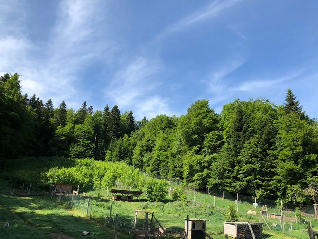 Domaine AbracadaRoom : Esprit du Nord - Image 23