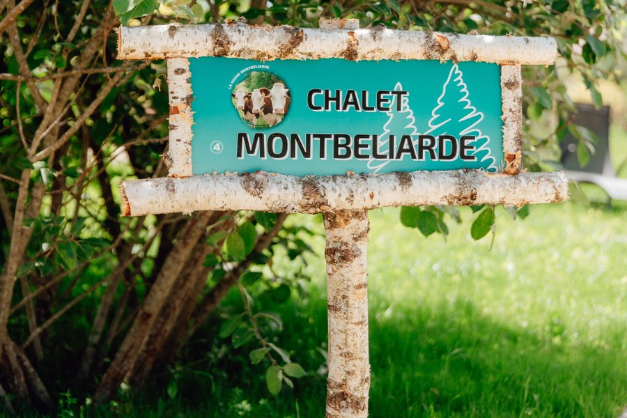 CHALET MONTBELIARDE — photo 2