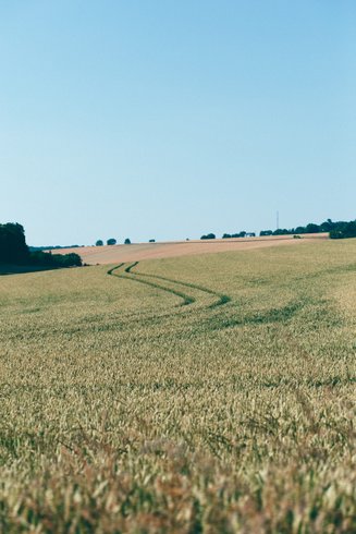 Hébergement AbracadaRoom : Hestia + Freya : Ecolodge d'exception avec 2 bains nordiques  à 1h30 de Paris - Image 57
