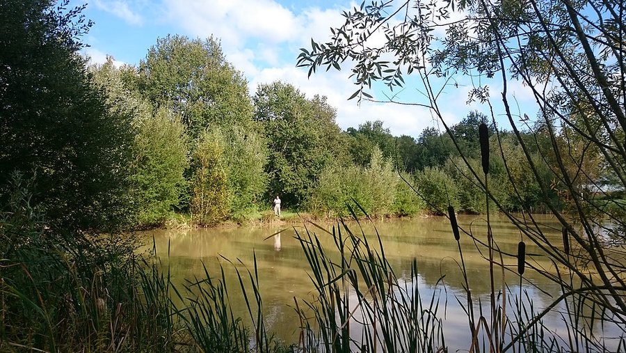 Domaine AbracadaRoom : Domaine de la Grangée - Image 3