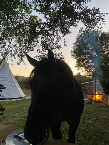Hébergement AbracadaRoom : Tipi Lakota - Image 6