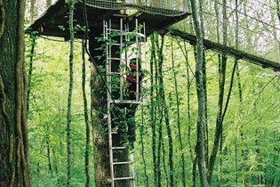 Cabane dans les arbres Ardennes