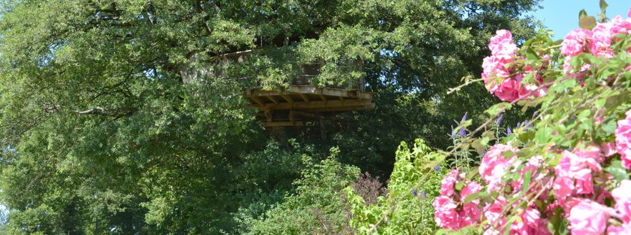 Hébergement AbracadaRoom : Cabane Girsberg - Image 3