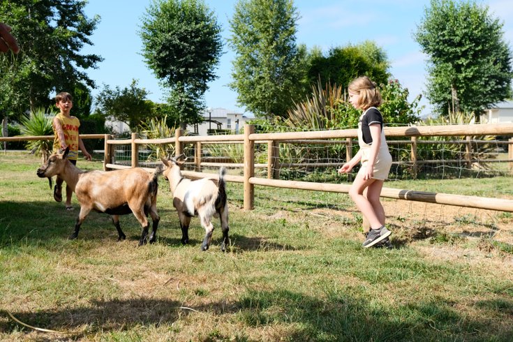 Hébergement AbracadaRoom : Roulotte 2 chambres - Image 16