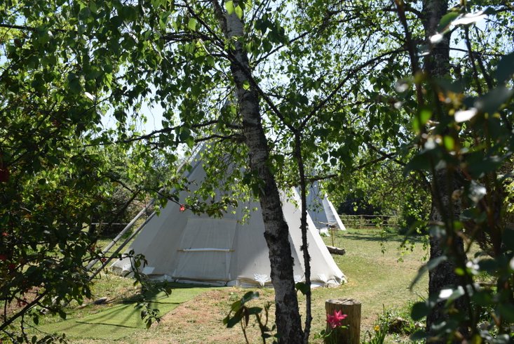 Hébergement AbracadaRoom : Sitting bull - Image 6