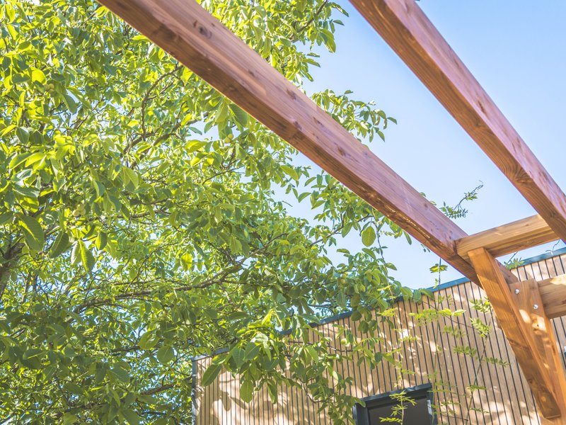 Domaine AbracadaRoom : DOMAINE DES 7 CEPAGES - Image 5