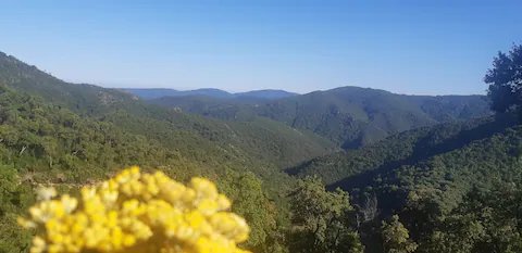 Hébergement AbracadaRoom : La Roulotte Verte - Image 15