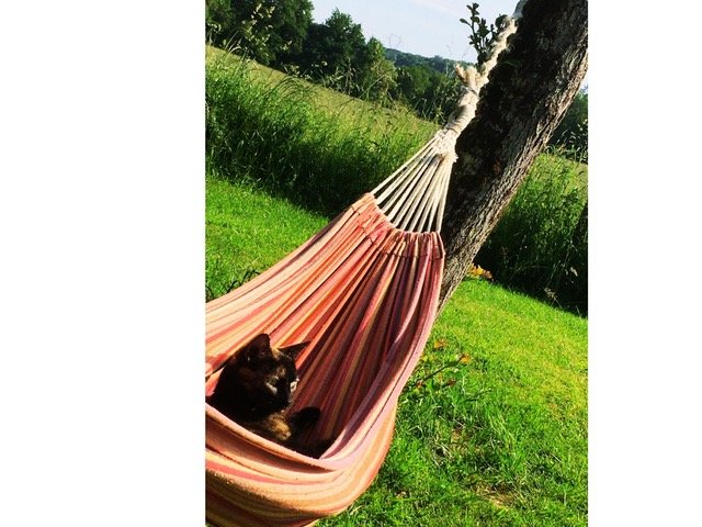 Hébergement AbracadaRoom : Tente Origan avec petit déjeuner inclus - Image 8