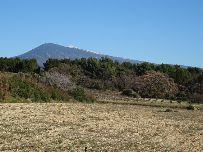 Domaine AbracadaRoom : Cabane du Ventoux - Image 7