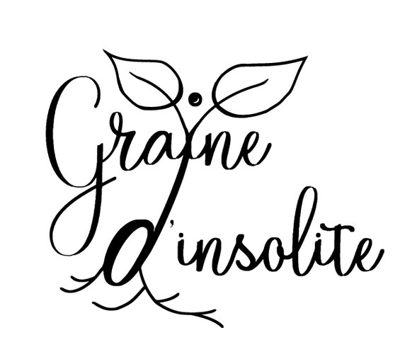 Domaine AbracadaRoom : Graine d'insolite - Image 2