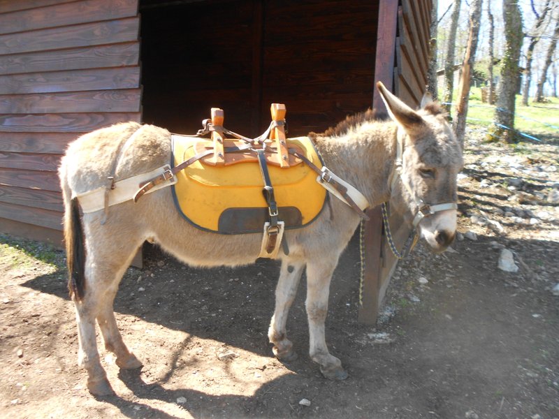 Domaine AbracadaRoom : Domaine des Calosses - Image 11